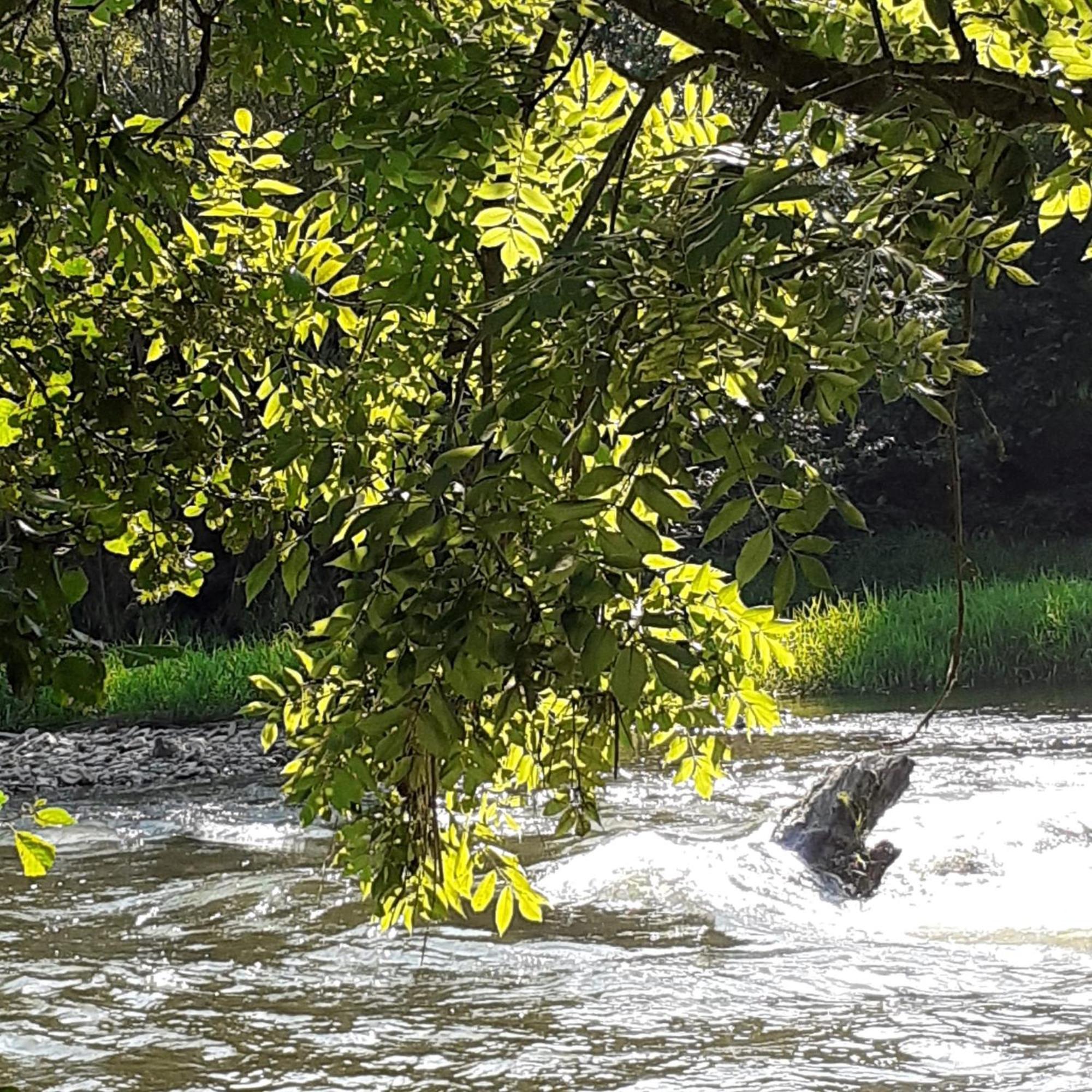 Stadt Land Fluss Plus Arnsberg Exterior foto